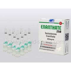 Generics Pharma Testosteron Enanthate 250mg 10 Ampul