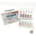 Unigen Pharma Testosteron Enathate 250mg 10 Ampül